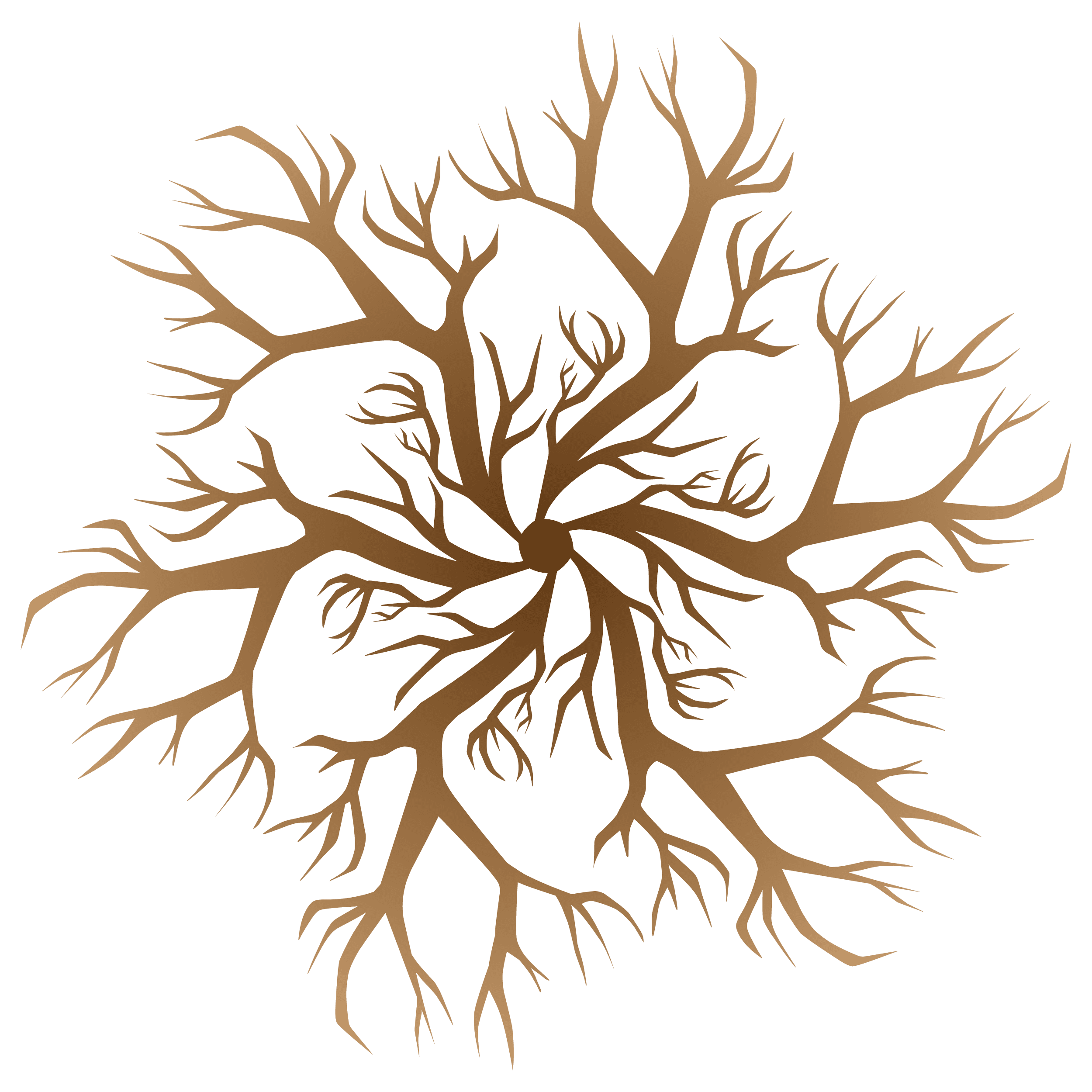 Roots